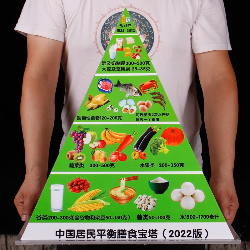 指定【工厂直营】膳食宝塔模型