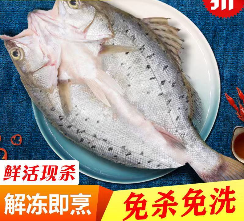 海捕海鲜水产 新鲜 鲈鱼 新鲜开背去脏速冻 冰鲜发货