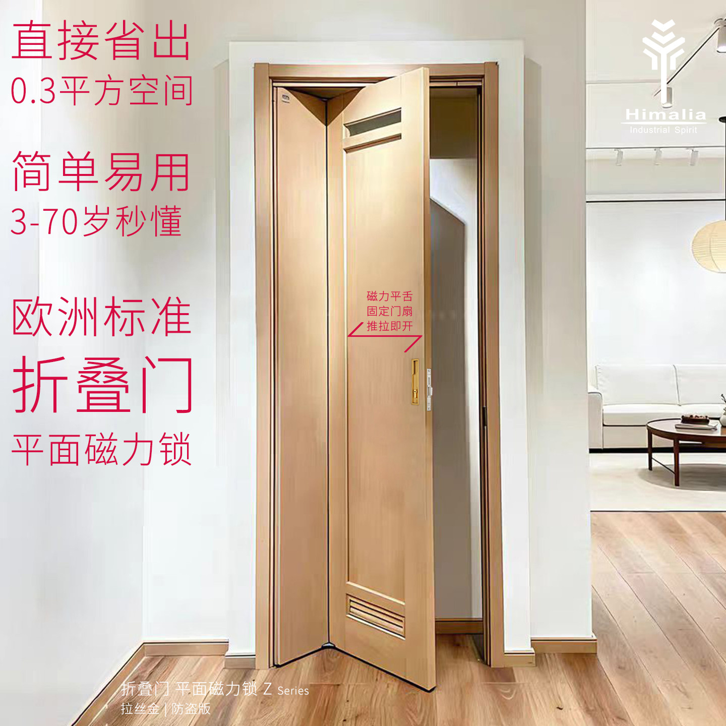 暗藏拉手磁吸折叠门锁图片