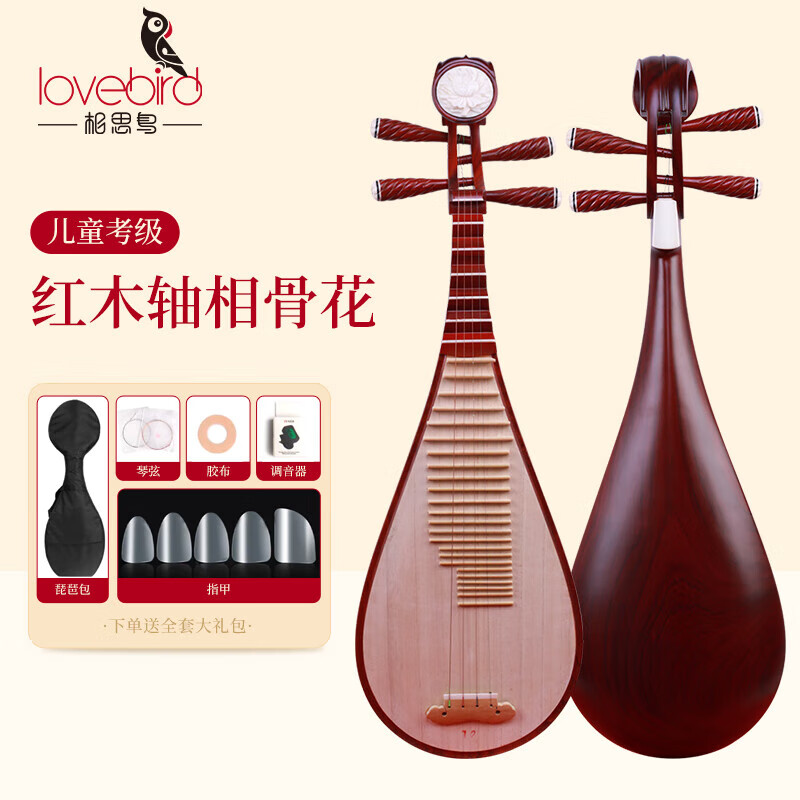 琵琶乐器初学者入门儿童成人
