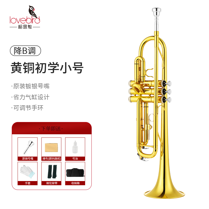 相思鸟降B调小号乐器学生考级