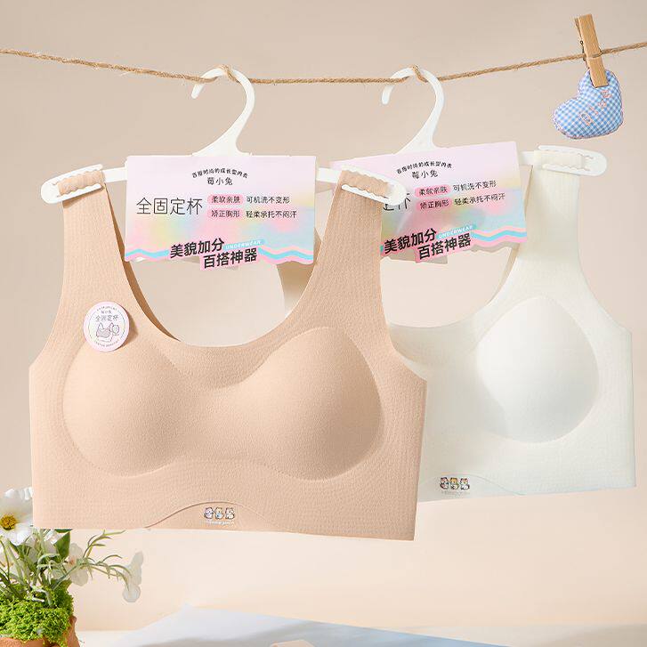 二、三阶段/10A带衣架少女发育期内衣3809