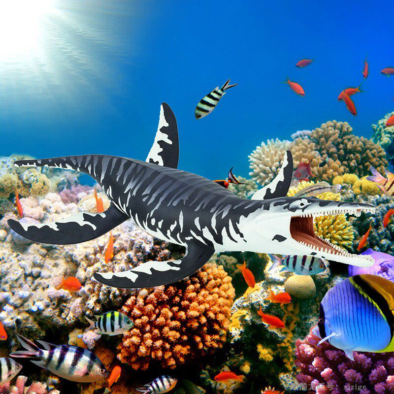 鱼缸装饰海洋生物safari正品仿真克柔龙静态动物模型玩具摆件道具