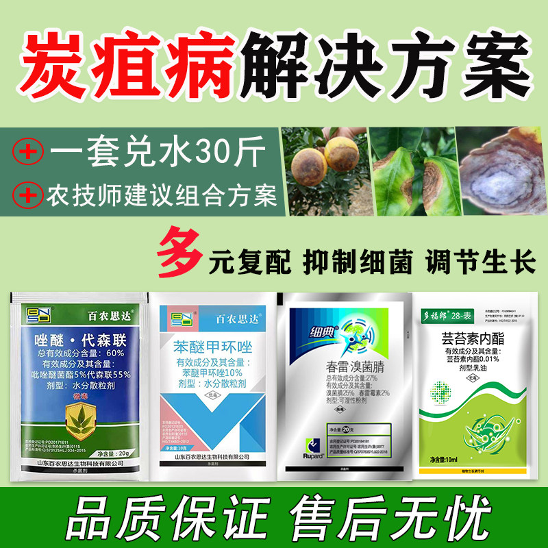 炭疽病专用药套餐辣椒果树草莓