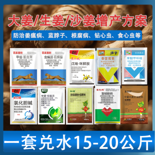 生姜大姜病全治姜瘟病烂脖子病根腐叶斑黄叶钻心虫青虫增产高产药