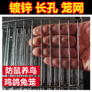 铁丝网钢丝网镀锌养殖网长孔鸟笼