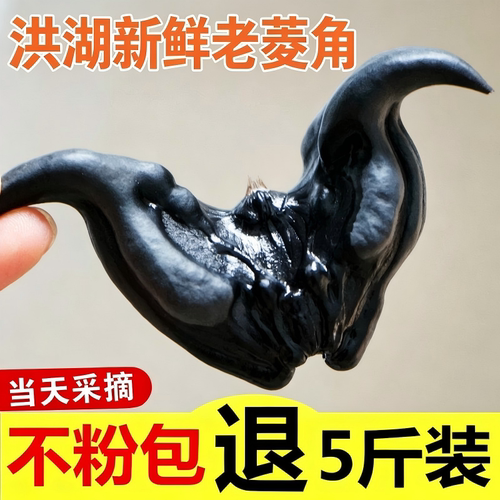 洪湖老菱角新鲜生棱角湖北特产现摘粉糯黑菱角嫩凌角大菱角米蔬菜