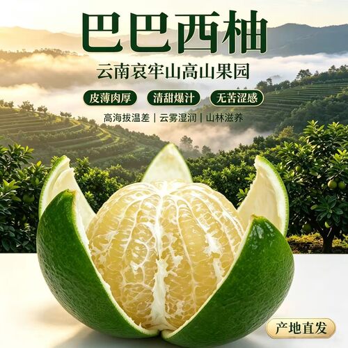 云南高山巴巴西柚青皮葡萄柚