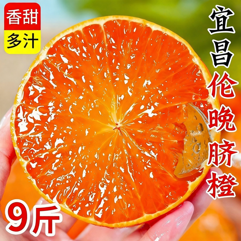 湖北宜昌秭归春橙伦晚脐橙当季应季新鲜水果整箱冰糖果冻橙甜橙子