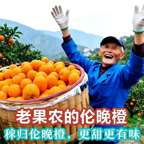 湖北宜昌秭归伦晚脐橙