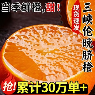 湖北宜昌秭归伦晚脐橙手剥橙果冻甜橙新鲜水果应当季整箱现发春橙