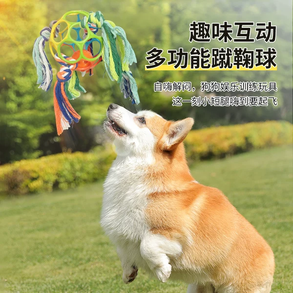 Товары от 蓓利驯养顾问