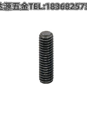 FSSG8-20 FSSG5-20 FSSG6-20 FSSG10-30内六角全长指定螺丝