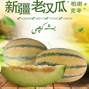新疆特产老汉瓜柏谢克辛4-12斤伽师瓜新鲜水果孕妇健康果哈密瓜