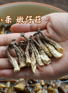新货无硫熏 嫩仔鹿茸菇  小条但是嫩脆  鹿茸菇特产菇类干货煲汤