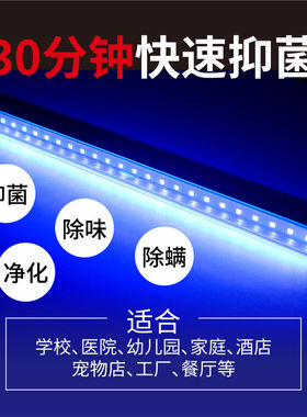 潮居尚LED紫外线灯24V紫外线灯管12V蓝紫光110V紫外线灯管蓝紫色