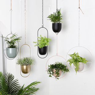 吊兰花器 悬挂铁艺花盆简约现代客厅创意绿萝植物盆栽装 饰轻奢个性