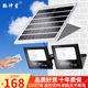脉冲星太阳能灯路灯户外LED投光灯室外照明一拖一 一拖二100W工
