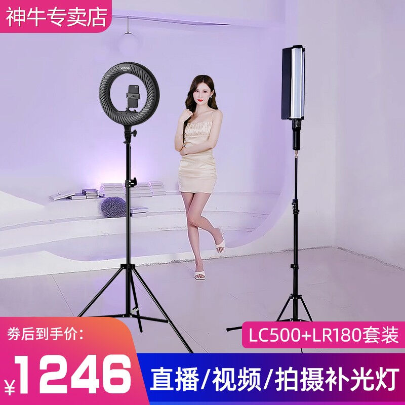神牛（Godox）LC500补光灯LED补光棒灯摄影灯可调色温户外便携人