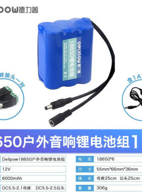 德力普（Delipow）12V锂电池组18650充电电池组带保护板大功率大