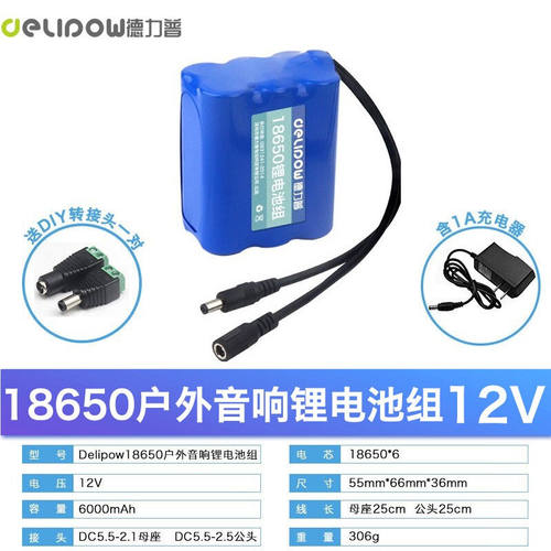 德力普（Delipow）12V锂电池组18650充电电池组带保护板大功率大