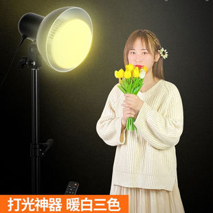 Aseblarm神明少女拍照聚光补光灯红头发丝灯led小型拍摄背景摄影