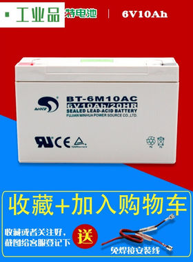 适用于赛特BT-6M10AC蓄电池6V10Ah童车吊秤电子秤充电电池六伏十