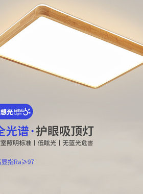 旺胜吸顶灯厂直销进口实木