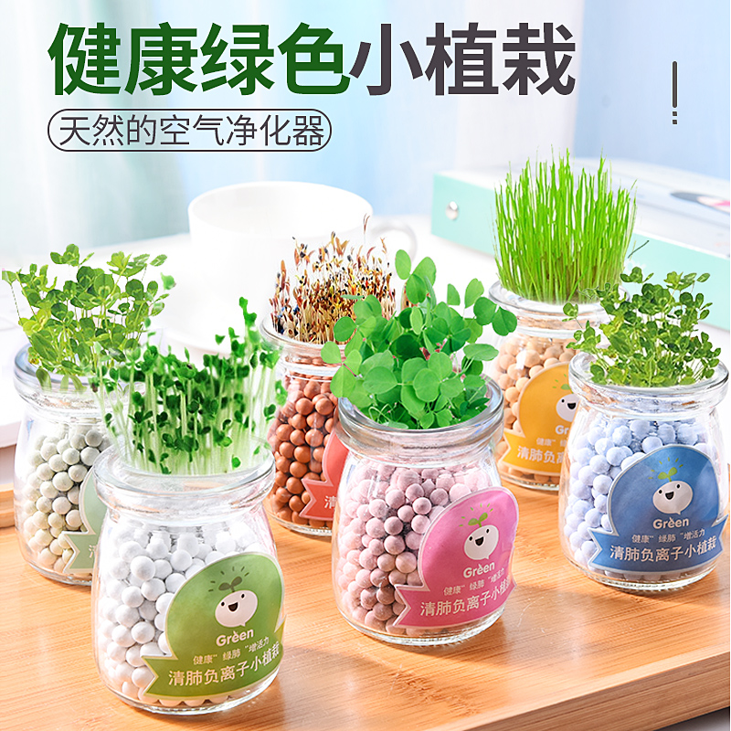 室内种植diy手工栽培小盆栽植物种子水培学生奖品幼儿园毕业礼物