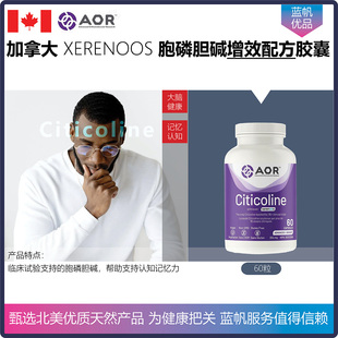 新到现货 加拿大AOR Citicoline 胞磷胆碱XERENOOS胶囊改善认知