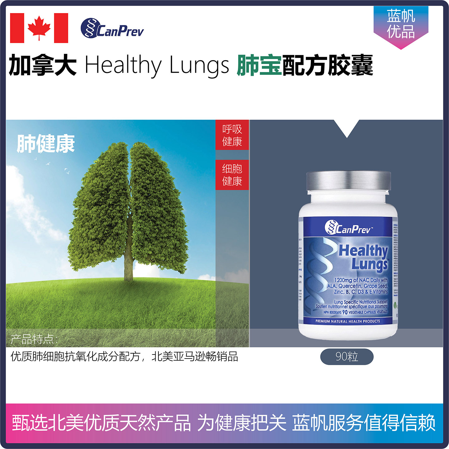 【温哥华顺丰】120粒 加拿大Canprev Heathy Lungs肺健康肺宝胶囊