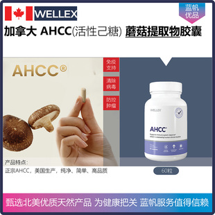 【温哥华顺丰】60粒 加拿大WELLEX 活性己糖AHCC蘑菇提取物胶囊