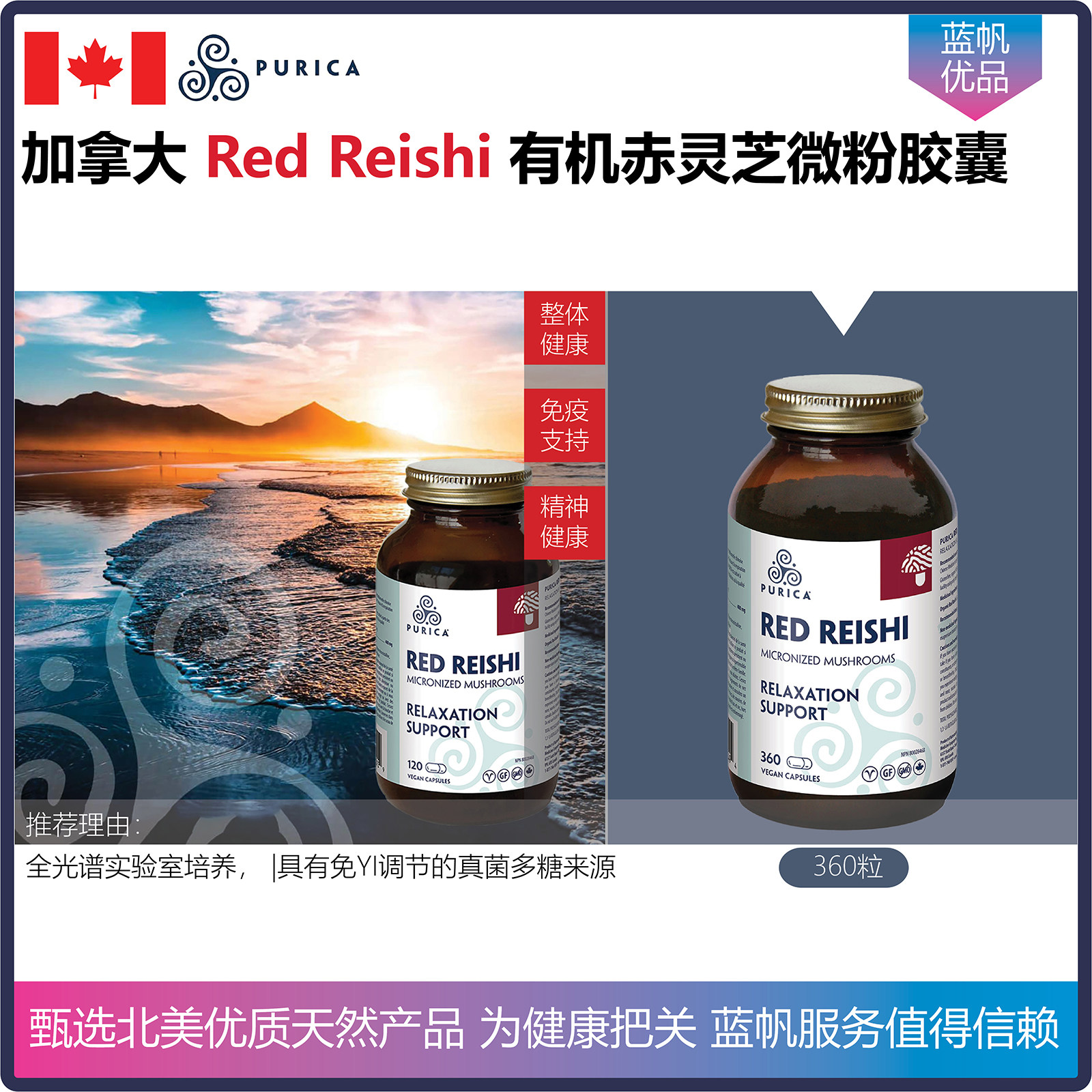 【温哥华顺丰】加拿大PURICA有机赤灵芝微粉胶囊促进情绪放松睡眠