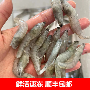 喂鱼的虾河虾淡水白虾虾仁冷冻鱼食龙鱼虎鱼饲料龟粮新鲜虾肉冻食