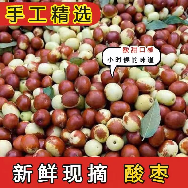 2026沂蒙山野生新鲜大酸枣子现摘现发水果山东农家童年味道酸甜枣