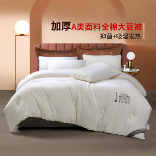 黛富妮A类面料大豆春秋被全棉抑菌被子夏季 双人被 薄被芯保暖四季
