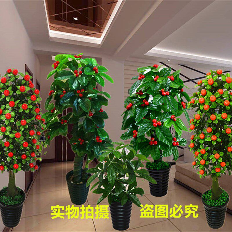 淘淘优惠券 Tao宝 天猫内部大额优惠券 券后享超低价 推淘网高档绿植假树樱金桃桔树居型盆栽家大落k地摆放装饰盆景招财发奢