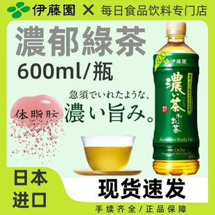 日本进口ITOEN伊藤园浓郁绿茶饮料健康茶饮品600ml