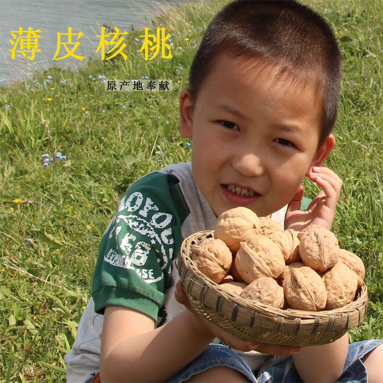 新疆纸皮核桃阿克苏手剥薄皮大核桃及烤核桃孕妇老人儿童零食干果,零食/坚果/特产,纸皮/薄皮核桃,淘宝优惠券,粉丝福利购,淘宝优惠卷