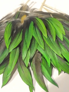 合法养殖基地自然色随机发手工上浆过的绿色鹦鹉羽毛 天然原材料