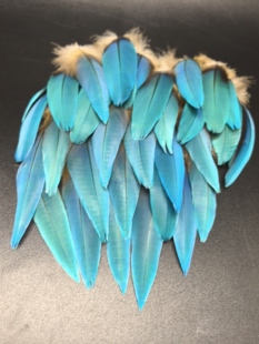 点翠羽毛工艺原材料稀有鹦鹉羽毛上浆过自然色大蓝片DIY手工非遗