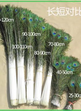 孔雀羽毛家居摆件花瓶插花DIY制作饰品手工文创简约现代特色自然