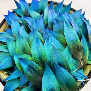 点翠材料上浆过孔雀羽毛稀有超大蓝片配件新品新中式手工艺体验翠