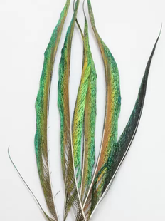 点翠工艺羽毛稀有品种仿点翠DIY饰品手工孔雀边翎饰品材料包耳饰