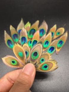 上浆孔雀羽毛眼羽毛点翠材料DIY制作课程非遗手工艺体验团建研学