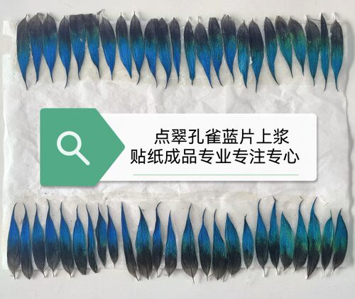 基地发点翠孔雀羽毛蓝片饰品DIY手工上浆已粘贴纸精品新中式婚礼