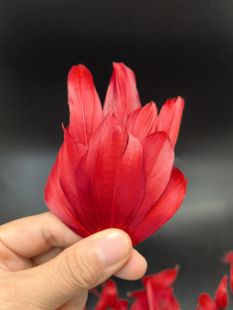 点翠DIY材料包上浆羽毛鹅毛染色仿点翠团建活动手工艺体验课研学