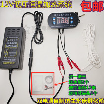 自制仿生水床家用小型孵化全自动控温器鸡鸭鹅鸽子鸟蛋孵化箱