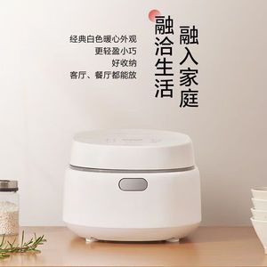 Panasonic/松下 SR-DL151