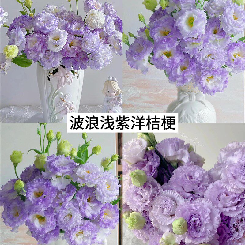 洋桔梗鲜花高档室内绿色花束水培插花插瓶婚礼组合云南基地直发